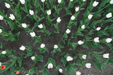 Similar image 161896