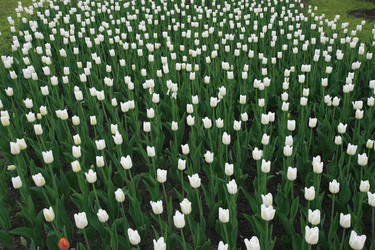 Similar image 161900