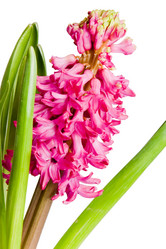 Similar image 161901