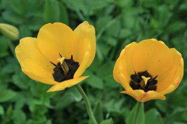 Similar image 161911