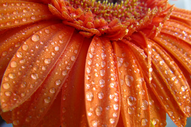 Similar image 161927