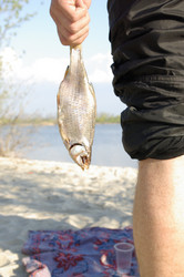 Similar image 161975