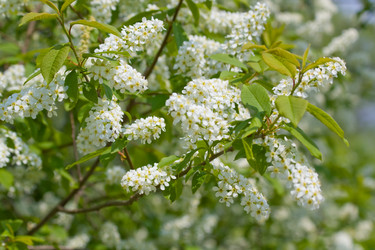 Similar image 161977