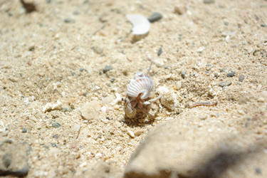 Similar image 162022