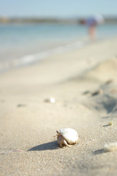 Similar image 162025