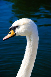 Similar image 162027