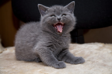 Similar image 162039