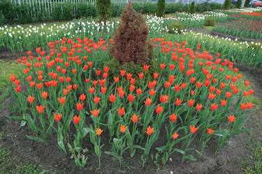 Similar image 162045