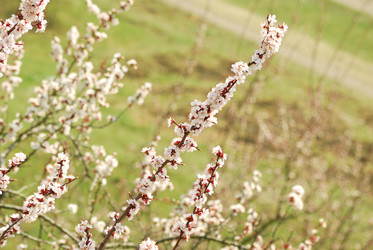 Similar image 162048