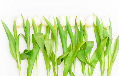 Similar image 162057