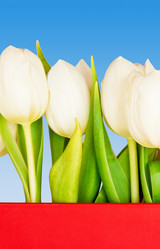 Similar image 162058