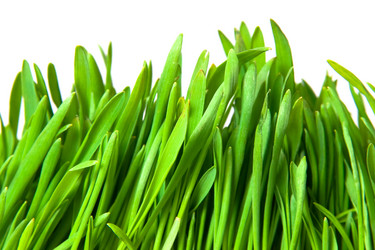 Similar image 162063