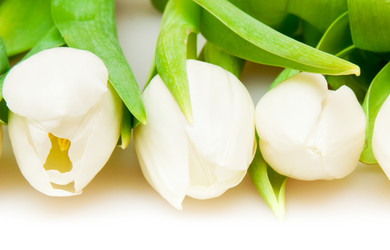 Similar image 162067