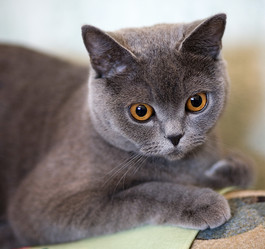 Similar image 162071