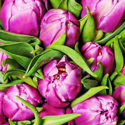 Similar image 162085