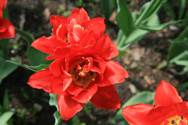 Similar image 162088