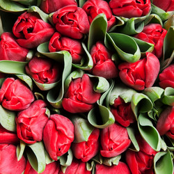 Similar image 162089