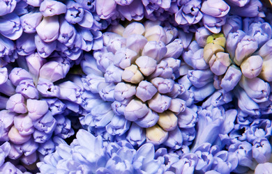 Similar image 162093