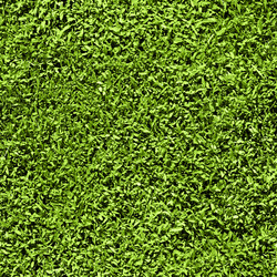 Similar image 162106