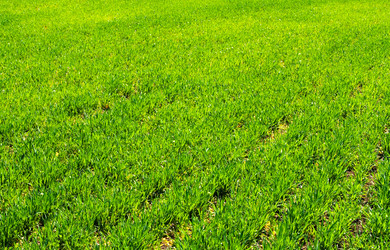 Similar image 162107