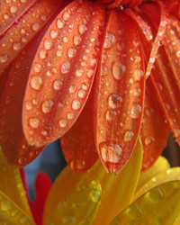 Similar image 162108