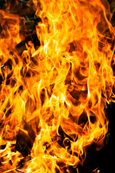 Similar image 162110