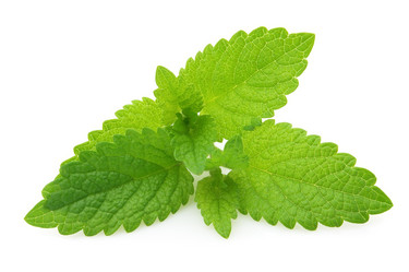 Similar image 162113