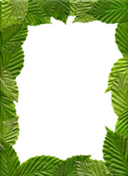 Similar image 162114