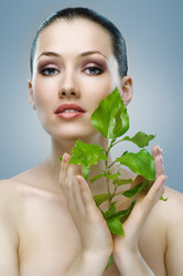 Similar image 162122