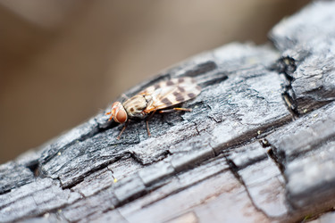 Similar image 162130