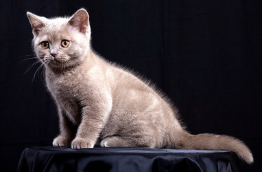 Similar image 162146