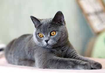 Similar image 162148