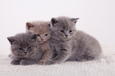 Similar image 162159