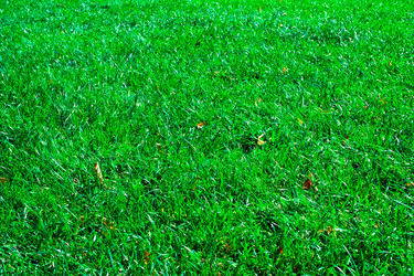 Similar image 162168