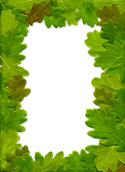 Similar image 162169