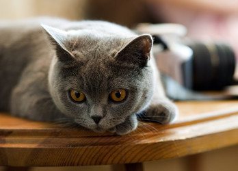 Similar image 162199