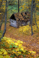 Similar image 162203