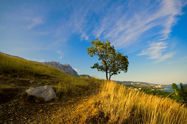 Similar image 162206