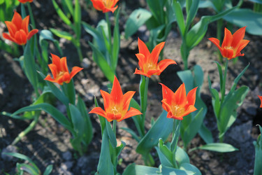 Similar image 162215