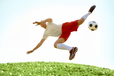 Similar image 162241