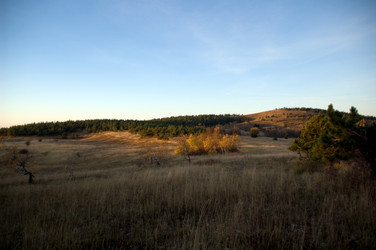 Similar image 162261