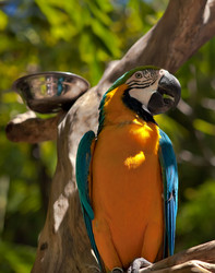 Similar image 162282