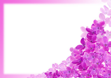 Similar image 162287