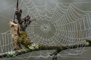 Similar image 162289