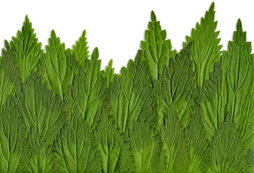 Similar image 162306