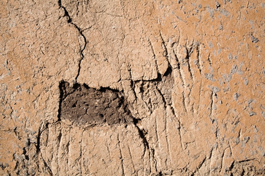 Similar image 162316