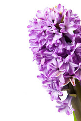 Similar image 162345