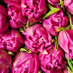 Similar image 162351