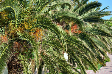 Similar image 162352