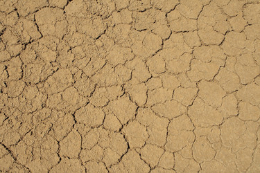 Similar image 162354